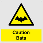 WV16881: Caution Bats