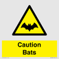 WV16881: Caution Bats