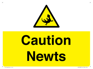 WV16885: Caution Newts