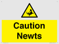 WV16885: Caution Newts