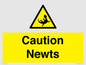 WV16885: Caution Newts
