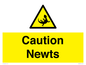 WV16885: Caution Newts