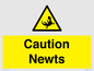 WV16885: Caution Newts