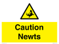 WV16885: Caution Newts