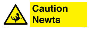 WV16885: Caution Newts