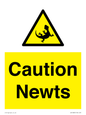 WV16885: Caution Newts
