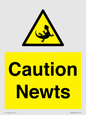 WV16885: Caution Newts