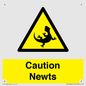 WV16885: Caution Newts