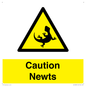 WV16885: Caution Newts
