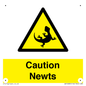 WV16885: Caution Newts