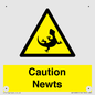 WV16885: Caution Newts