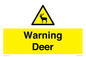 WV16940: Warning Deer