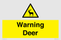 WV16940: Warning Deer