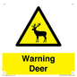 WV16940: Warning Deer
