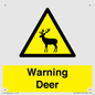 WV16940: Warning Deer