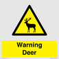 WV16940: Warning Deer