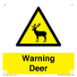 WV16940: Warning Deer
