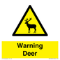 WV16940: Warning Deer