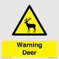 WV16940: Warning Deer