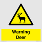WV16940: Warning Deer