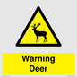 WV16940: Warning Deer