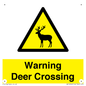 WV16942: Warning Deer Crossing