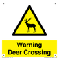 WV16942: Warning Deer Crossing