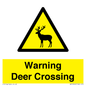 WV16942: Warning Deer Crossing