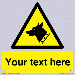 WV3016: Custom Warning: Guard dog