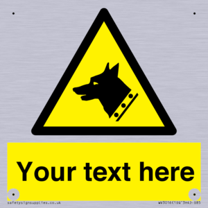 WV3016: Custom Warning: Guard dog