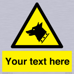 WV3016: Custom Warning: Guard dog