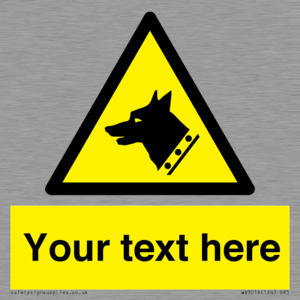 WV3016: Custom Warning: Guard dog