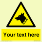 WV3016: Custom Warning: Guard dog