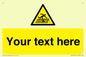 WV5109: Custom Figure on Roof Sign