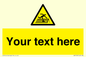 WV5109: Custom Figure on Roof Sign