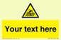 WV5109: Custom Figure on Roof Sign