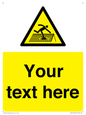 WV5109: Custom Figure on Roof Sign