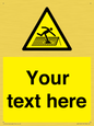 WV5109: Custom Figure on Roof Sign