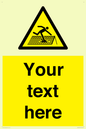 WV5109: Custom Figure on Roof Sign