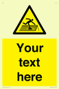 WV5109: Custom Figure on Roof Sign