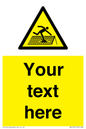 WV5109: Custom Figure on Roof Sign