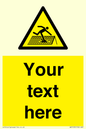 WV5109: Custom Figure on Roof Sign