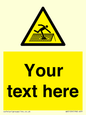 WV5109: Custom Figure on Roof Sign