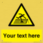 WV5109: Custom Figure on Roof Sign