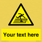 WV5109: Custom Figure on Roof Sign