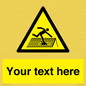 WV5109: Custom Figure on Roof Sign