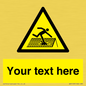 WV5109: Custom Figure on Roof Sign