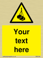 WV5194: Custom Overhead Load Sign
