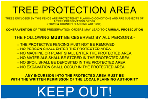 WV5239: Tree Protection Order