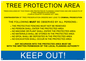 WV5239: Tree Protection Order
